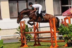 horse_afrodita-big.jpg